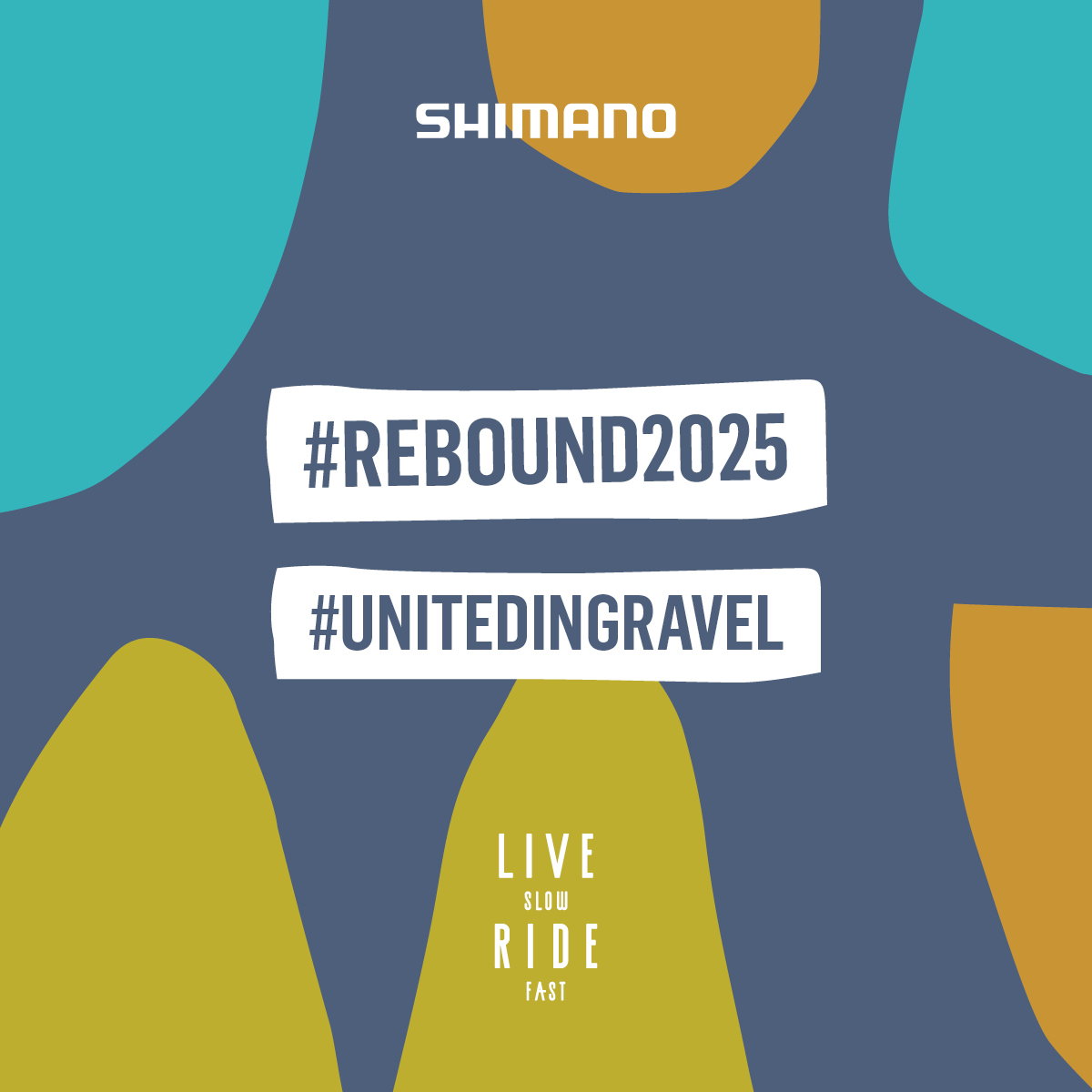REBOUND 2025 – Save the Date – Insta Timeline 1200×1200 px4
