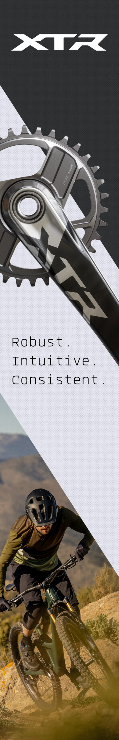 XTR-visuals_MOVICO-truck_349x2158mm_01