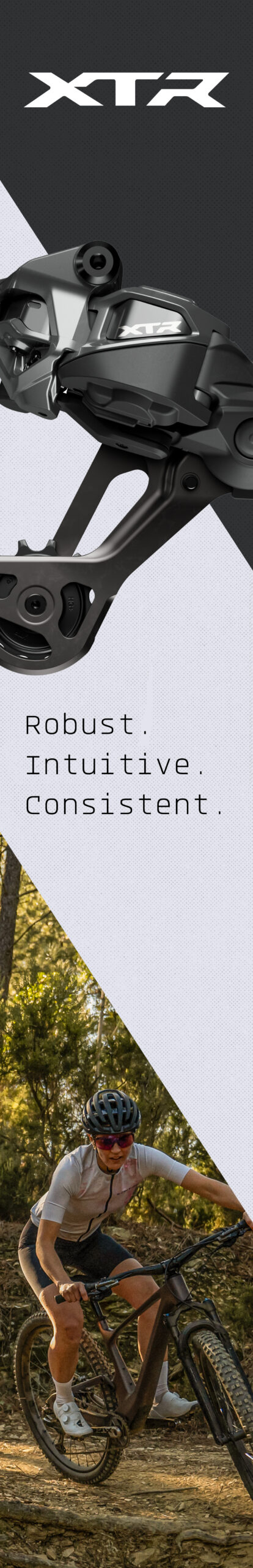 XTR-visuals_MOVICO-truck_349x2158mm_02