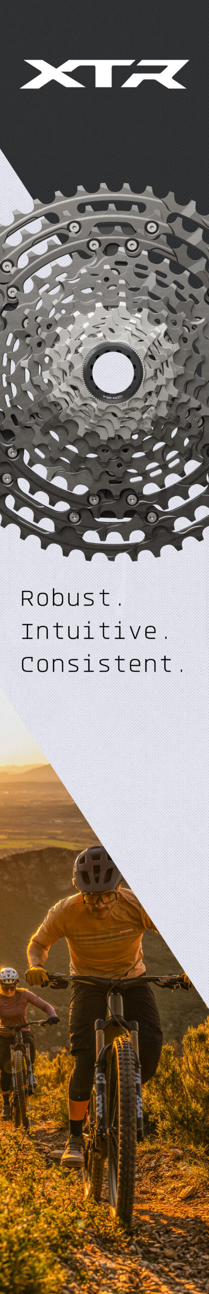 XTR-visuals_MOVICO-truck_349x2158mm_03