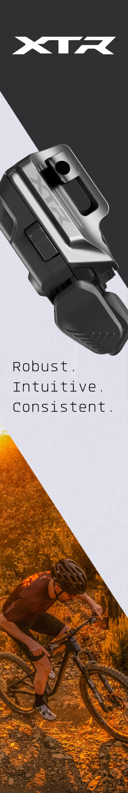 XTR-visuals_MOVICO-truck_349x2158mm_04